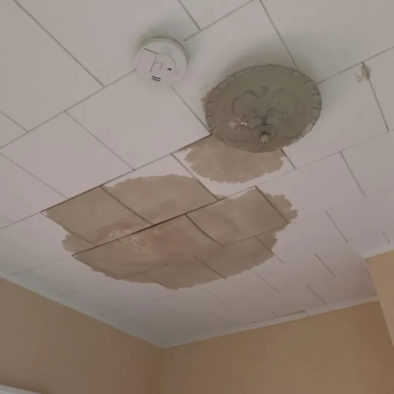 Ceiling Water Damage Repair in Plymouth, IN