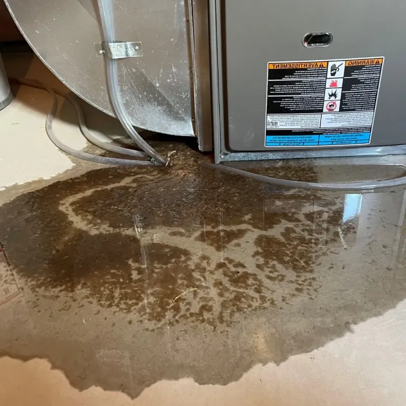 Pipe Burst and Leak Restoration in Plymouth, IN